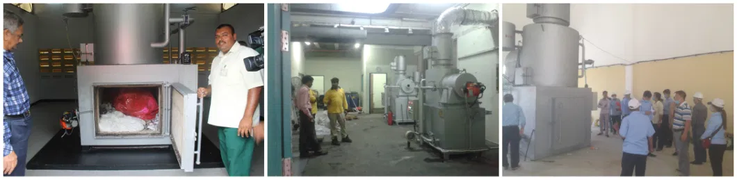 Pharmaceutical Waste/ Hazardous Waste/ Laboratory Waste/Medical Waste Special Incinerator Hospital Equipment